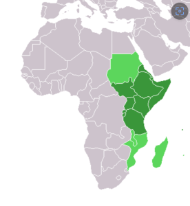 East Africa Shipping